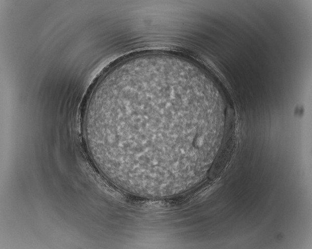 X0000114540883200911091130