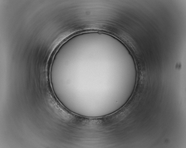 X0000114540884200911091130