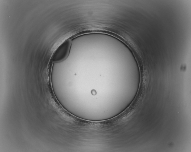 X0000114540885200911091130