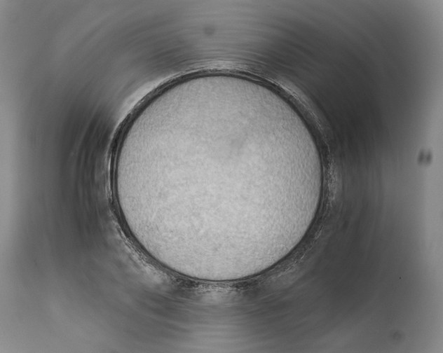 X0000114540886200911091130