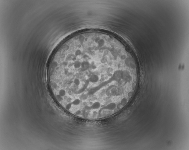 X0000114540887200911091130