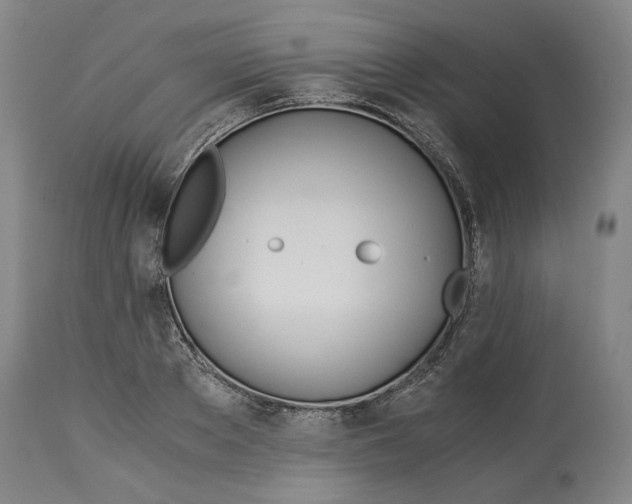 X0000114540889200911091130