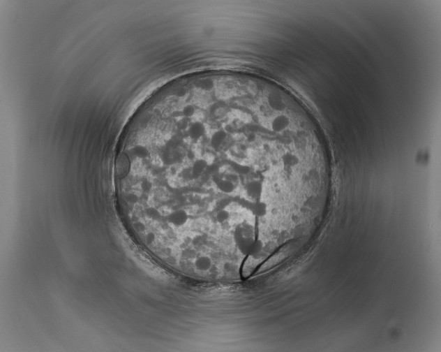 X0000114540891200911091130