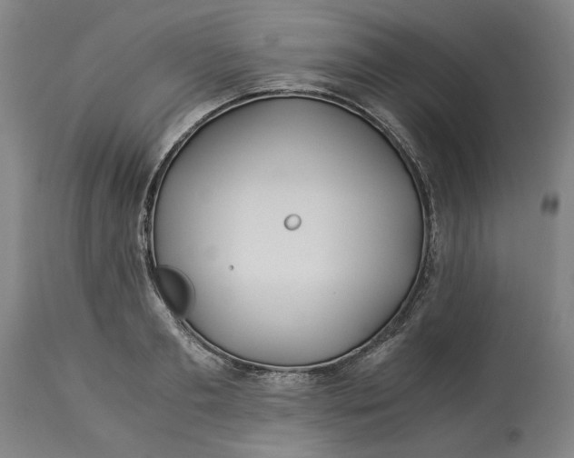 X0000114540893200911091130