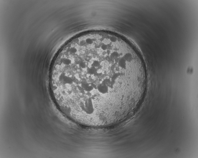 X0000114540895200911091130