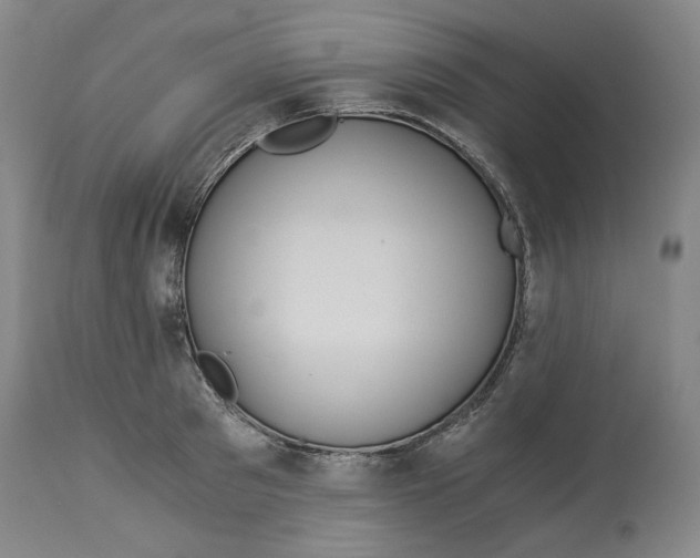 X0000114540897200911091130