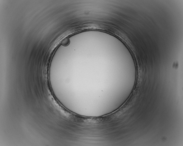 X0000114540898200911091130