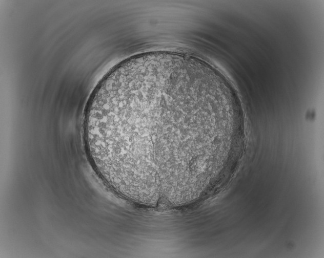 X0000114540899200911091130