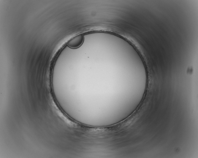 X0000114540902200911091130