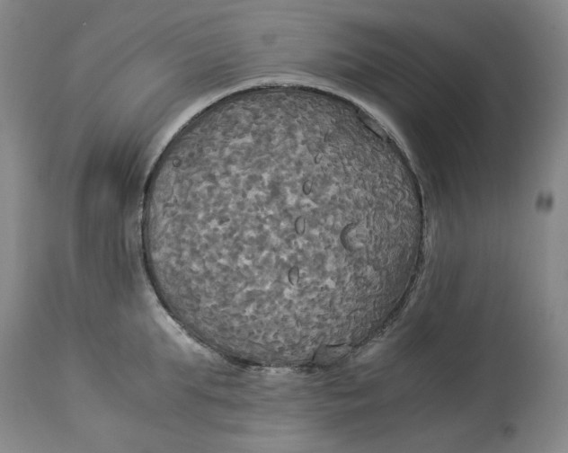 X0000114540903200911091130