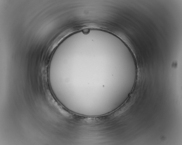 X0000114540906200911091130