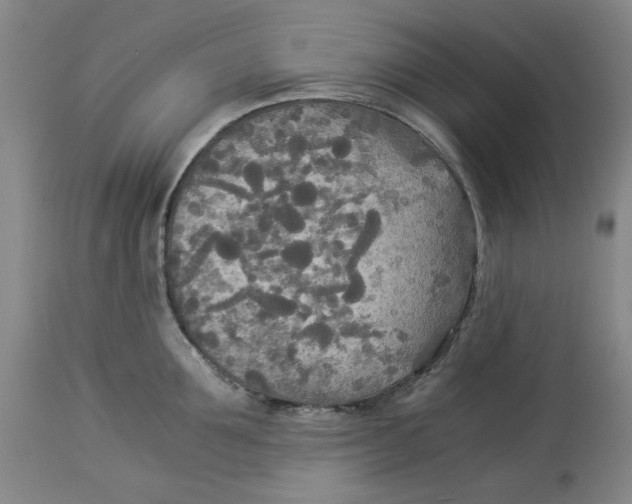 X0000114540907200911091130