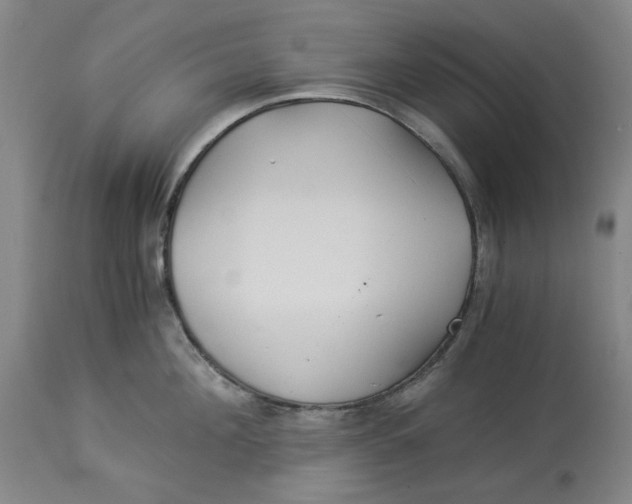 X0000114540908200911091130