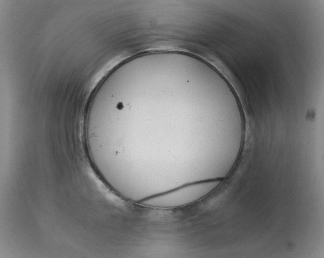 X0000114540909200911091130