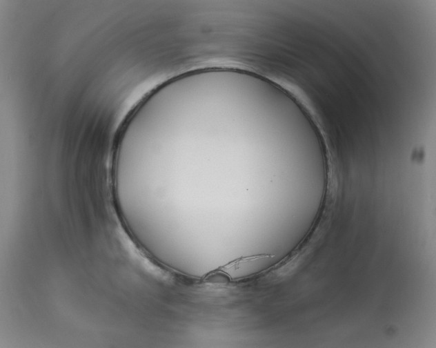 X0000114540910200911091130