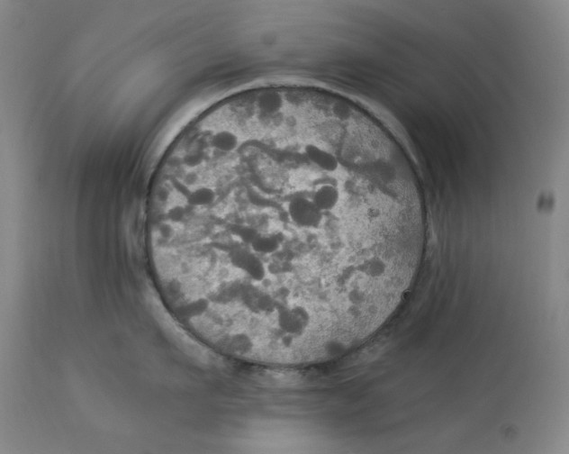 X0000114540911200911091130