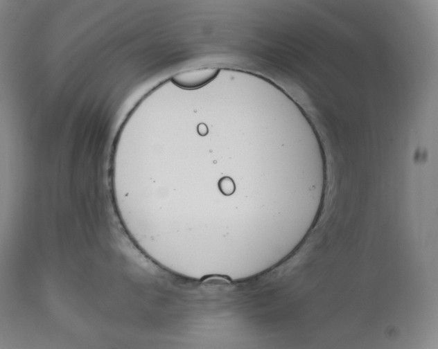 X0000114540912200911091130