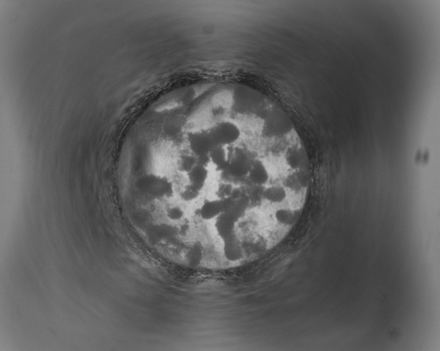 X0000114540913200911091129