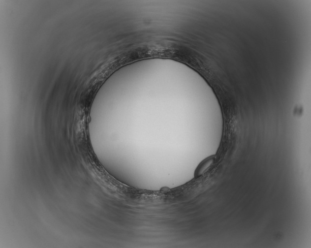 X0000114540914200911091129