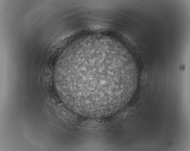 X0000114540917200911091129