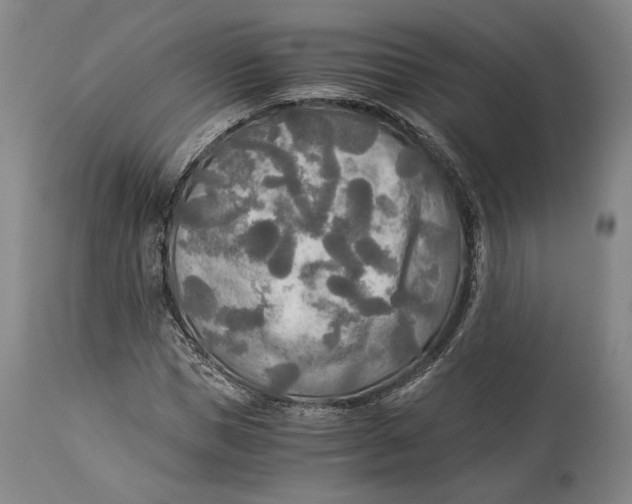 X0000114540921200911091129