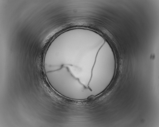 X0000114540922200911091129