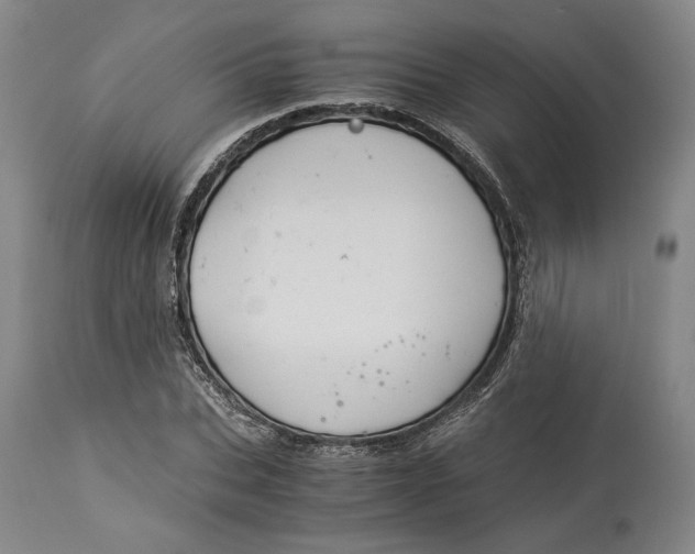 X0000114540927200911091129