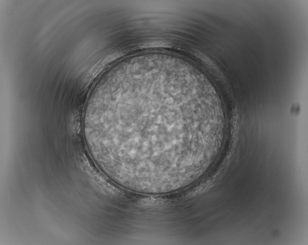 X0000114540929200911091129