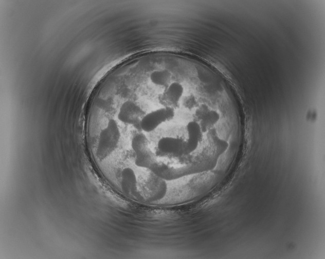 X0000114540933200911091129