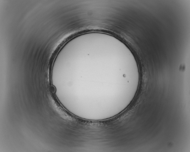 X0000114540934200911091129