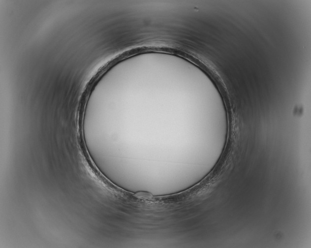 X0000114540935200911091129