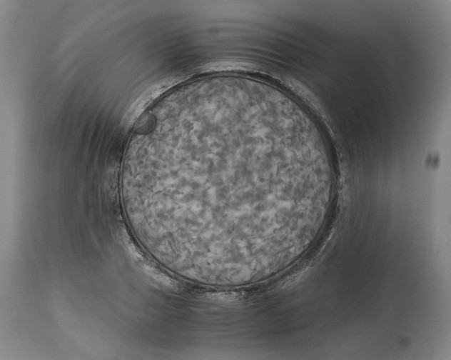 X0000114540937200911091129