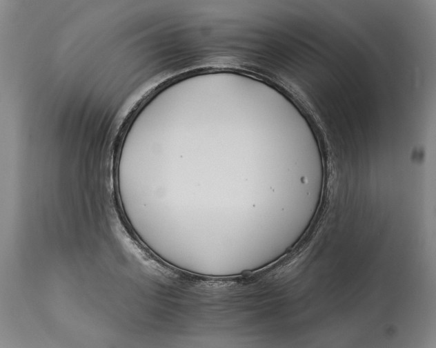 X0000114540939200911091129