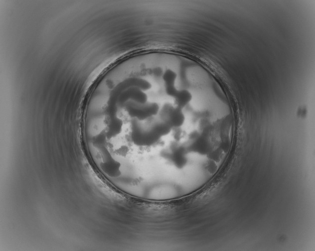 X0000114540941200911091129