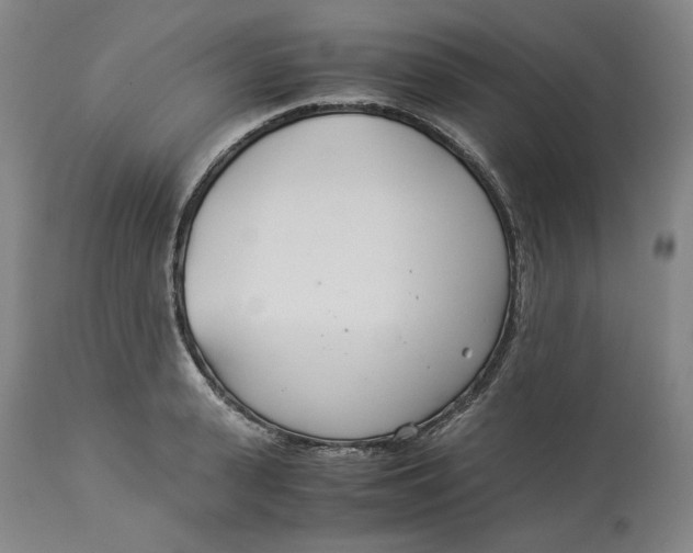 X0000114540943200911091130