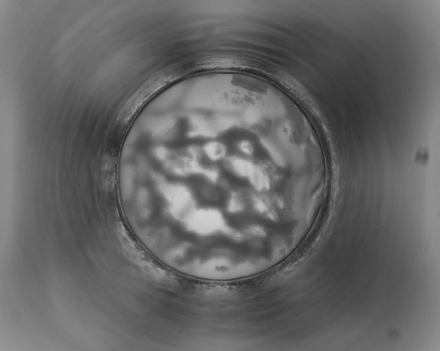 X0000114540945200911091130