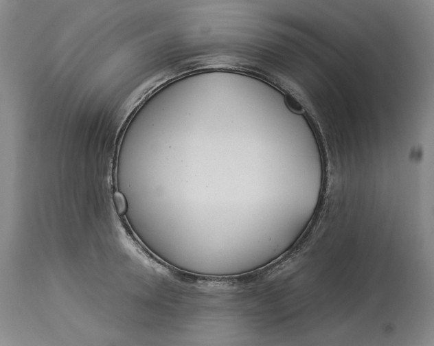 X0000114540946200911091130