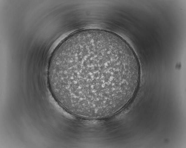 X0000114540949200911091130