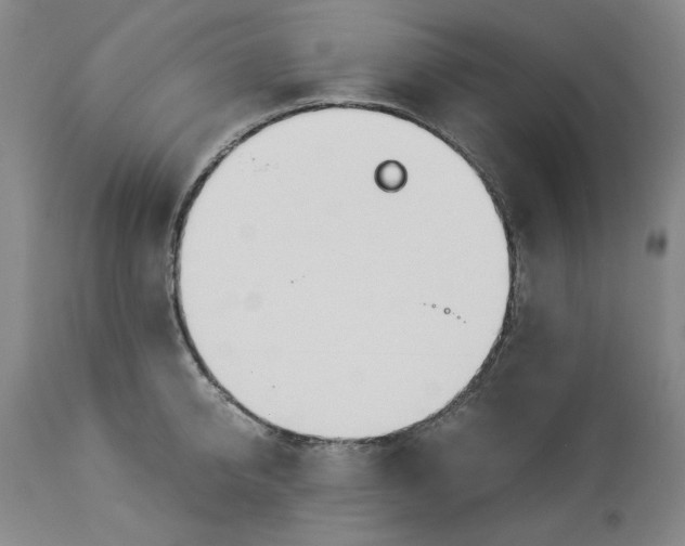 X0000114540950200911091130