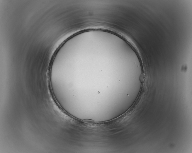 X0000114540951200911091130