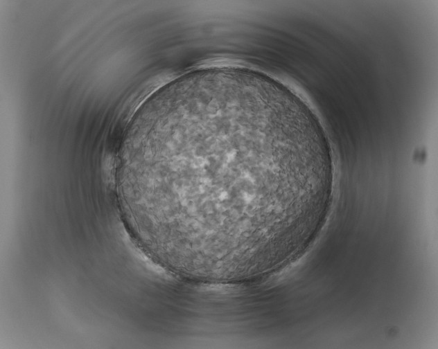 X0000114540953200911091130