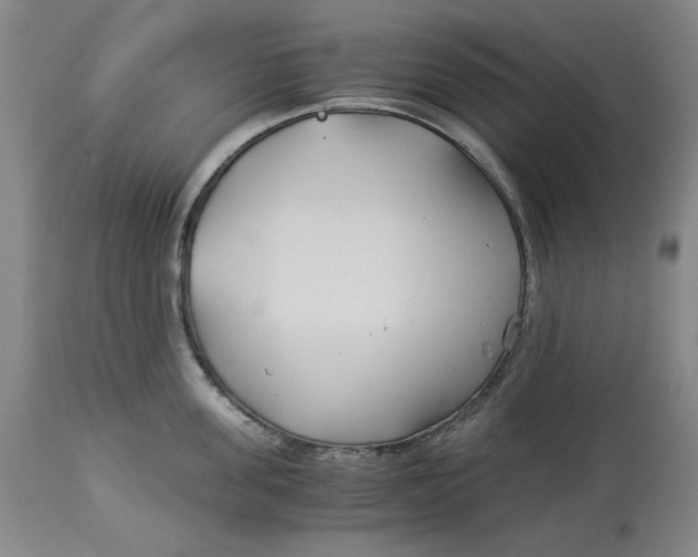 X0000114540955200911091130