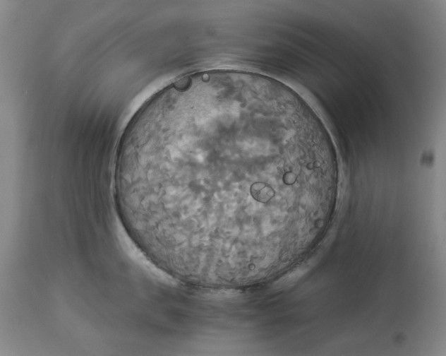 X0000114540957200911091130