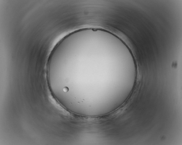 X0000114540958200911091130