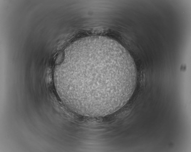 X0000114540962200911091129