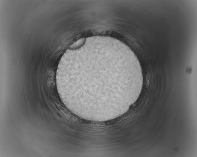 X0000114540964200911091129