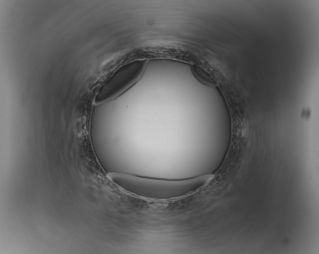 X0000114540965200911091129