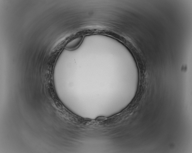 X0000114540967200911091129