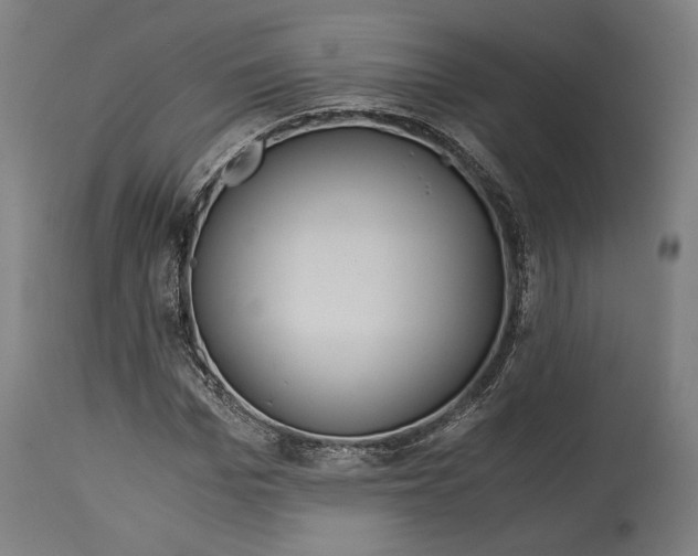 X0000114540969200911091129