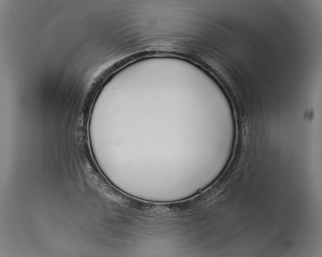 X0000114540971200911091129